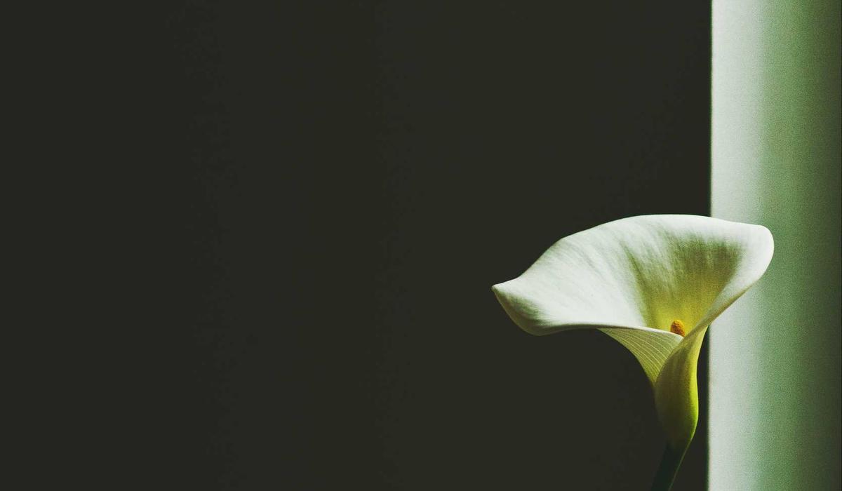Inside building a simple archive: notes, examples and checks